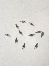 ELGIN 18 SIZE POCKETWATCH BALANCE STAFFS 11  "SOME SLIGHT RUST" P-11----B-149