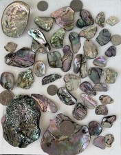 40 Pieces Of  “Craft Grade” Abalone Shards. Beautiful Bright Colors, All Sizes.