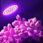 E27 Full Spectrum Plant Light 60LED Bulb for Hydroponics Indoor Plants Veg Bloom — photo 7