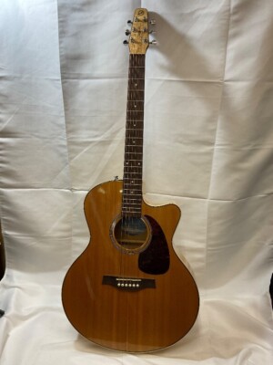 Electric Acoustic Guitar Seagull Godin Performer CW Flame