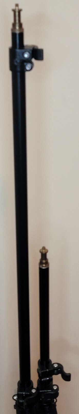 Foto 5 di 10