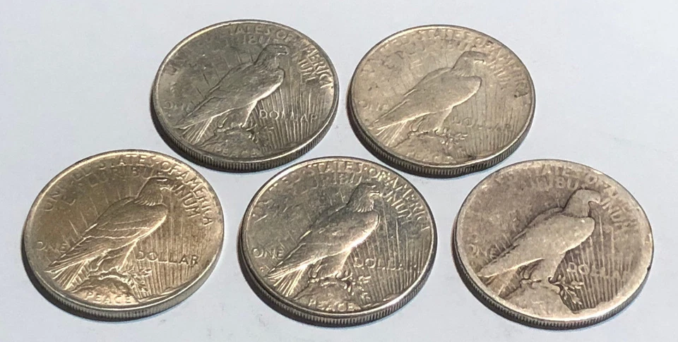Lot of 5 Cull 1922-1935 US $1 Silver Peace Dollars, Mixed Dates & Mint Marks - Image 4 of 4