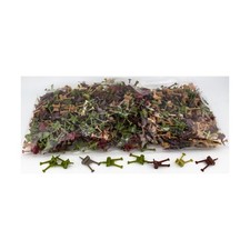 HBG Historical Minis Axis Allies Artillery Collection 30 NM