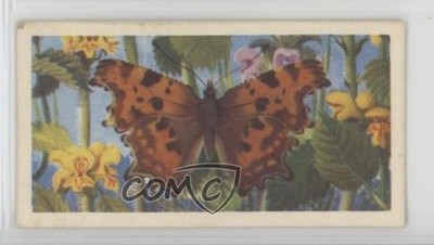 1963 Brooke Bond British Butterflies Tea Comma #25 0y5
