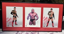 WWE Brock Lesnar and Finn Balor Framed SIGNED 3x JSA COAs