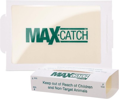 Catchmaster Max-Catch Mouse & Insect Glue Trap 72pk, 72 Pack, White 