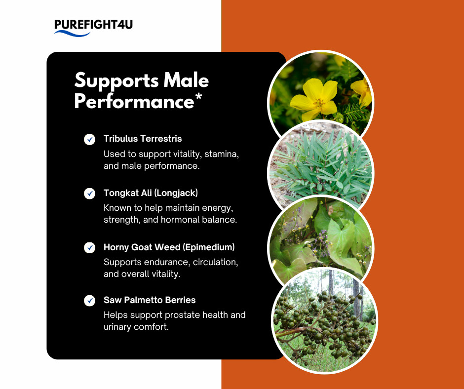 BioXCell Tablets Support Male Performance Supplement - 5 Bottles 