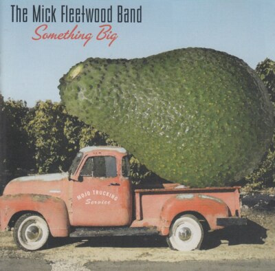   THE MICK FLEETWOOD BAND ''Something Big'' CD-Album