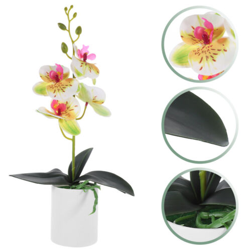  Simulated Potted Plants Bonsai False Fake Orchid Artificial - 第 1/19 張圖片