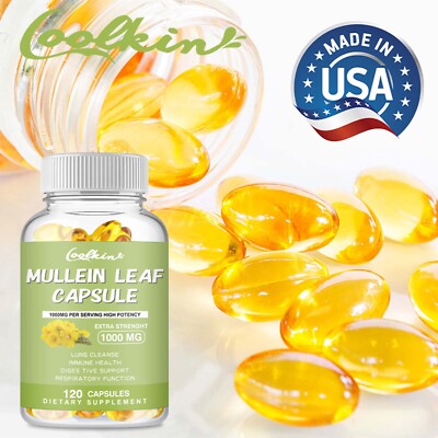 Lettera Di Foglie Di Foresta Autunnale Illustrazione Di Stock - Foto 9