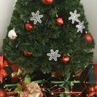 Bild 9 von 11