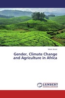 Never Assan | Gender, Climate Change And Agriculture In Africa | Taschenbuch