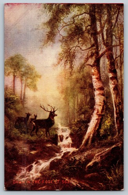 #ad Vintage Dawn in the Forest Deer Scene Postcard Linen Texture $7.19
