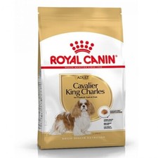 Royal Canin Adult Cavalier King Charles Spaniel Dry Dog Food
