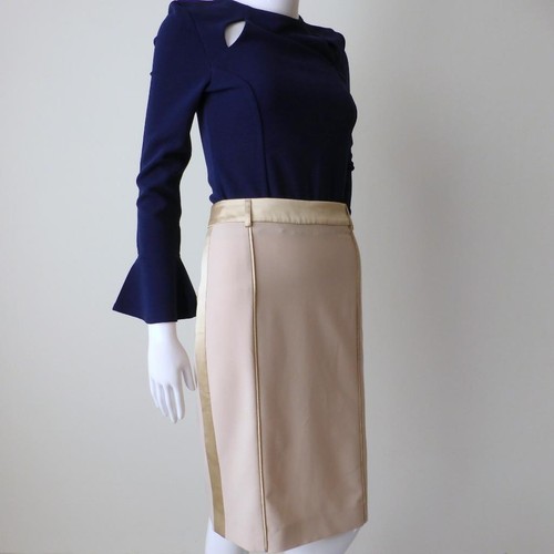 PHILOSOPHY DI ALBERTA FERRETTI Skirt NWT $729 Silk Trim Size 6 - 8 US 2 - 4 - Picture 4 of 10