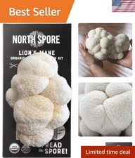 4lb Organic Lion's Mane Mushroom Spray & Grow Kit - -Round Gourmet Delight