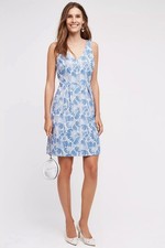Moulinette Soeurs Anthropologie Willow Lake Dress Blue Floral Sz 8 Fit & Flare