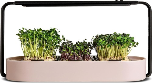 Organic Microgreens Growing Kit with Hydroponic System & LED Lights - Cozy Rose - Picture 3 of 11