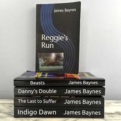 A Danny and Park Novel Series Vol 1-5 by James Baynes Book Bundle Crime Thriller