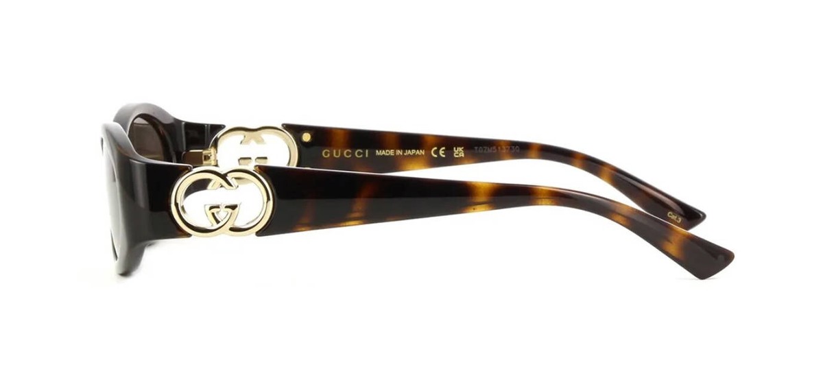 Gucci GG1660S Havana/Brown (002) Sunglasses With Case Gucci Gg1660s Havana Female Oval Sunglasses | Eyewear Index main image 4