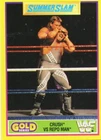 WWF Gold Series 1992 Yellow & Blue & Classic WWF Part 1 Individual Trading Cards