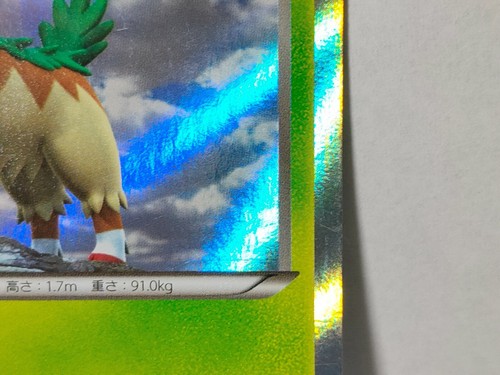 Pokemon Card Gogoat 2013 1st Edition 010/060 R XY1 Holo Rare Japanese - Picture 5 of 12