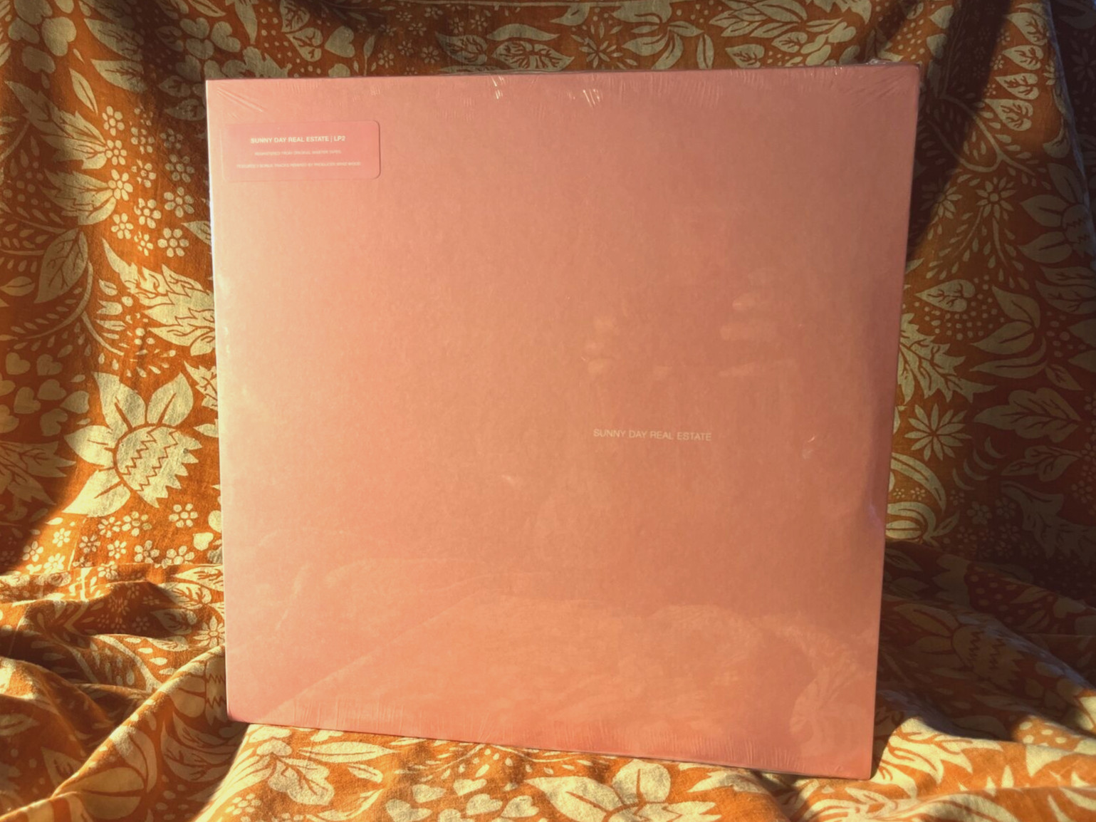 SEALED LP2 Sunny Day Real Estate NEW vinyl