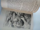 Bild 9 von 12