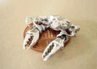 WONDERFUL CRAB WITH MOVING CLAWS STERLING SILVER CHARM