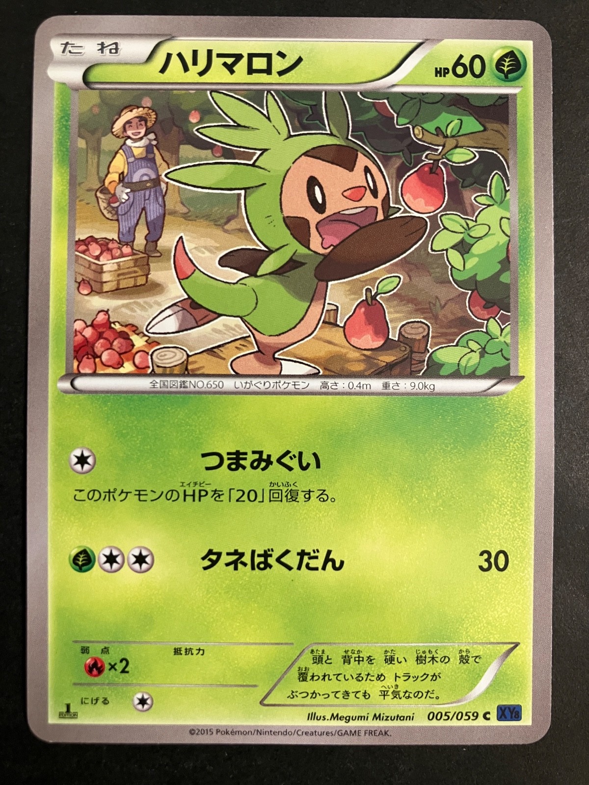 LP Chespin 005/059 Blue Shock XY8 Japanese US Seller