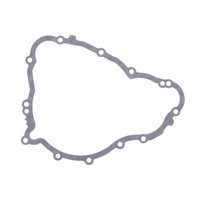 Lichtmaschinendeckeldichtung Original FüR Triumph Daytona 675 R ABS 2013-2017