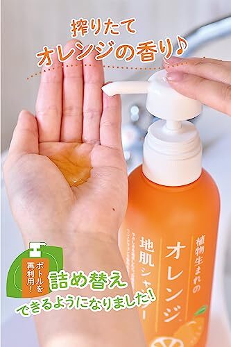 Ishizawa Lab Orange Gentle Scalp Shampoo S 340ml Made in Japan