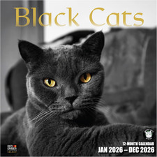 Select - Black Cats 2026 Wall Calendar 12 Month  12" x 24" Open  Thick  Sturd