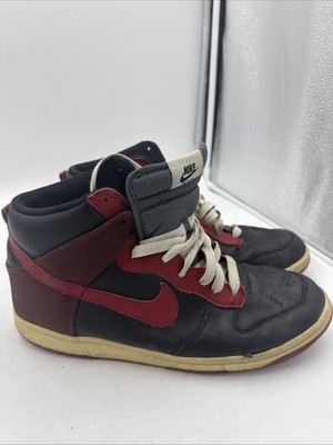 Size 11 North Varsity Nike Dunk Bred