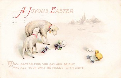 Joyous Easter Lambs Cracked Eggs Baby Chicks Embossed 1917 Postcard AY620
