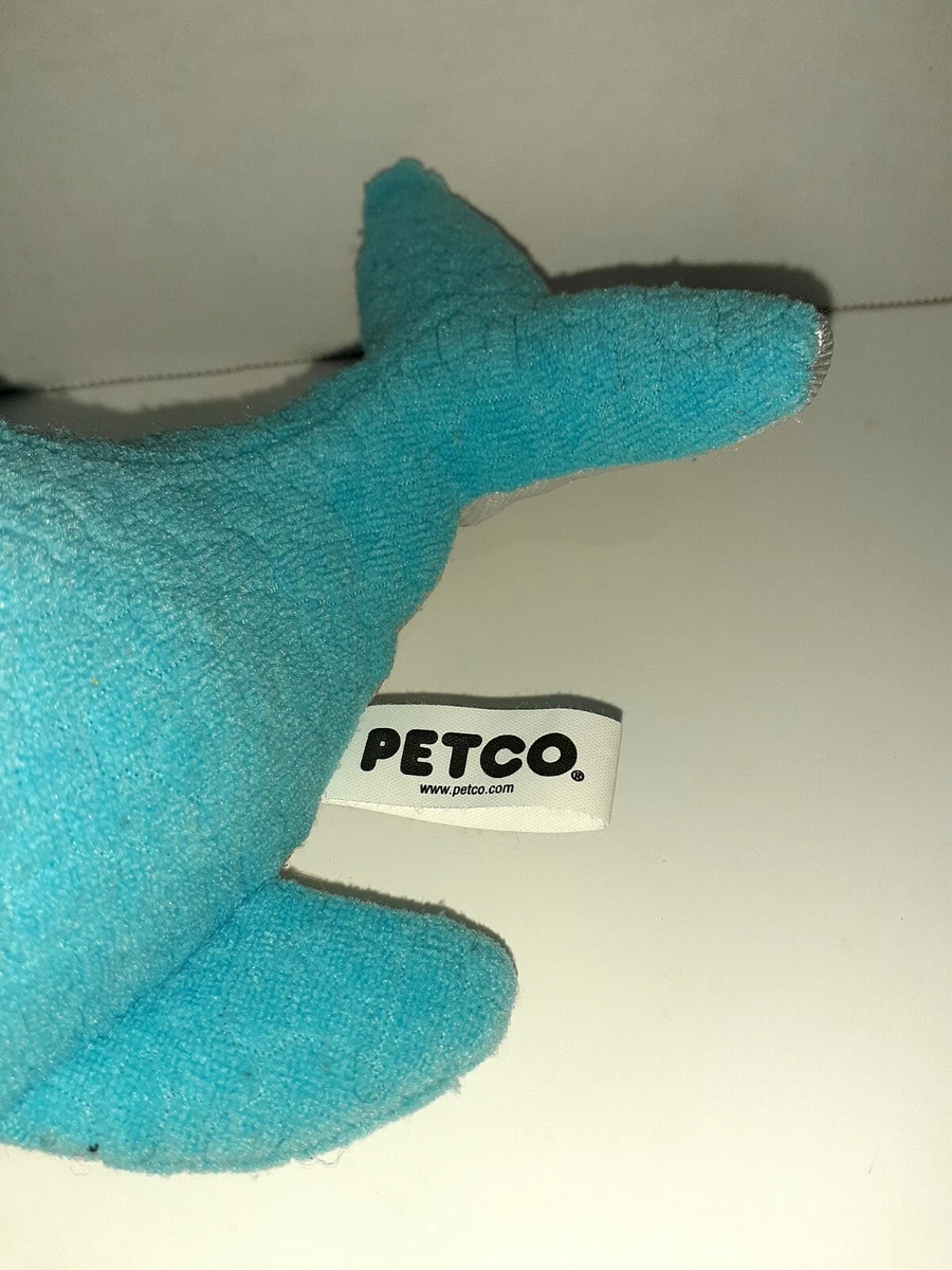 Baby hotsell shark petco