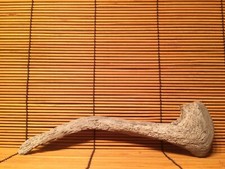 Beautiful 8 DRIFTWOOD Piece Terrarium Taxidermy Aquarium Beach Wood DECOR Art