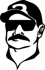 DALE EARNHARDT Sr face 3 car bumper sticker window laptop cup nascar racing