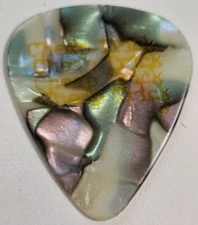 CHEAP TRICK TOM PETERSSON ABALONE BASS GUITAR PICK ROBIN ZANDER RICK NIELSEN BUN