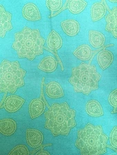 Free Spirit Tula Pink Eden Henna Aqua Lime Green OOP 2 Yards Quilting Cotton 