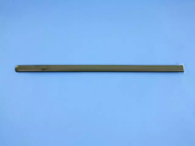 Genuine Mopar Front Door Molding Left 1BS49TZZAB