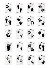 20 Pcs Animal Footprint Stencils Plastic Reusable Painting Templates