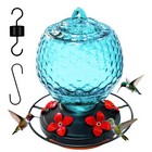25 Oz Hummingbird Feeder - Glass Hummingbirds Feeder for Outdoors Gardening