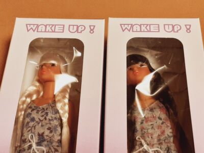 Wake-Up Momoko Doll WUDsp Yokohama Doll Museum Set of 2 Wake-Up Momoko Doll WUDsp Yokohama Doll Museum Set of 2