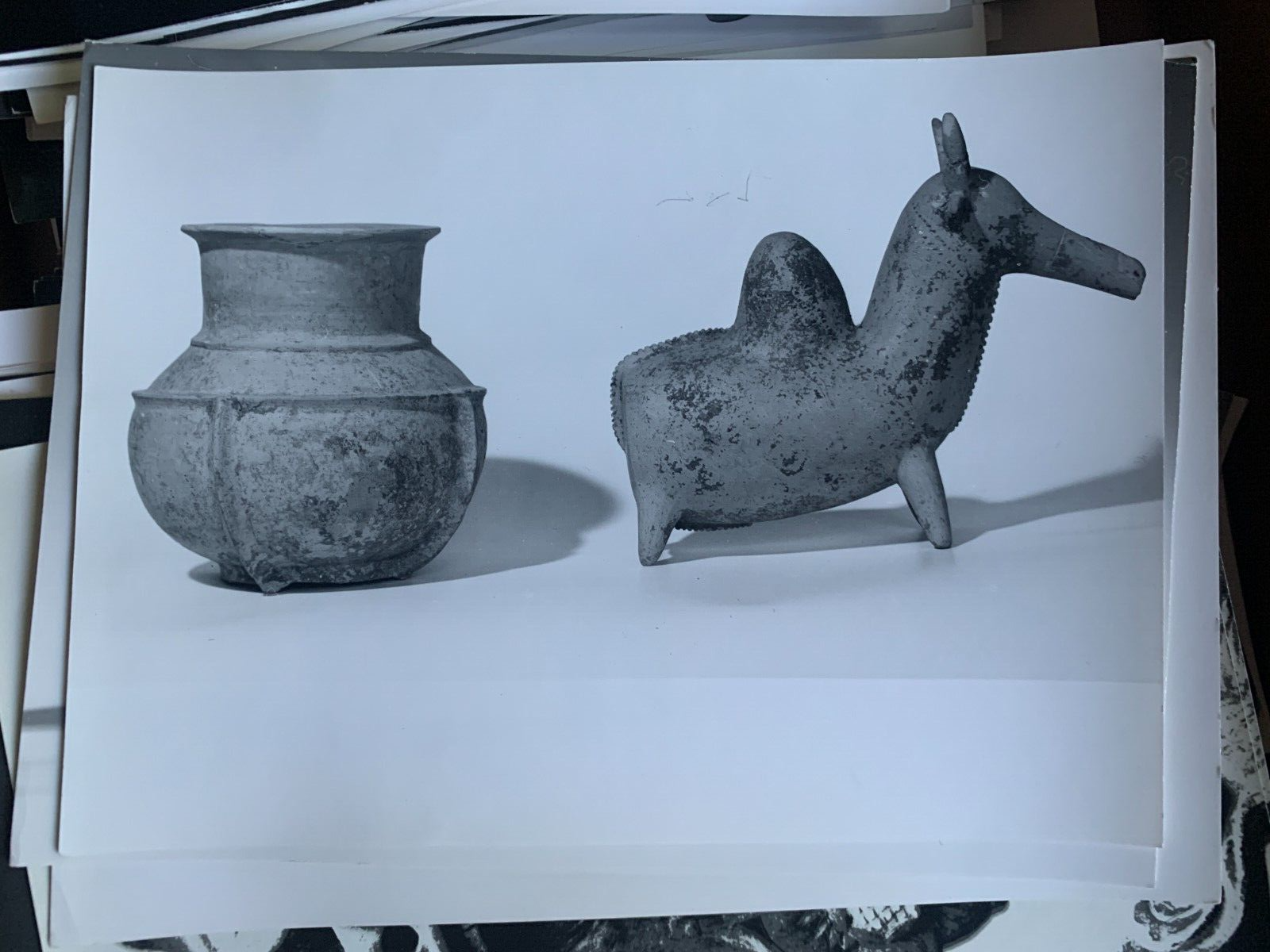 Picture 7 of 24