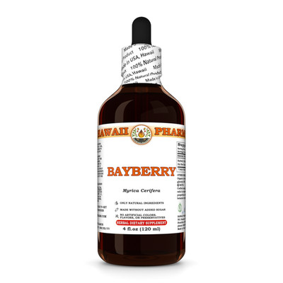 Bayberry (Myrica Cerifera) Dried Root Bark Liquid Herbal Extract