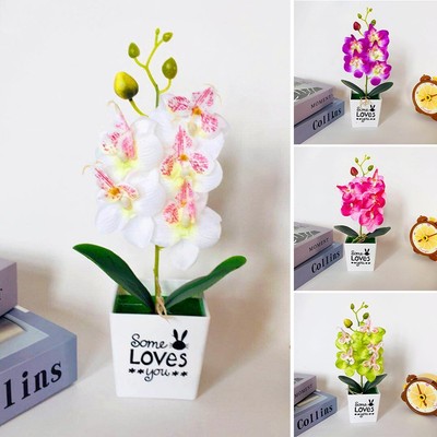 Realistic Phalaenopsis Flower in Pot Add a Touch of Nature to Your Space