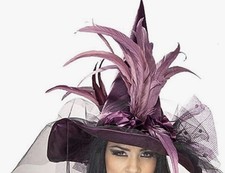 Rubies Purple Witch Hat New In Plastic Halloween Costume Dress-Up Pretty Witch