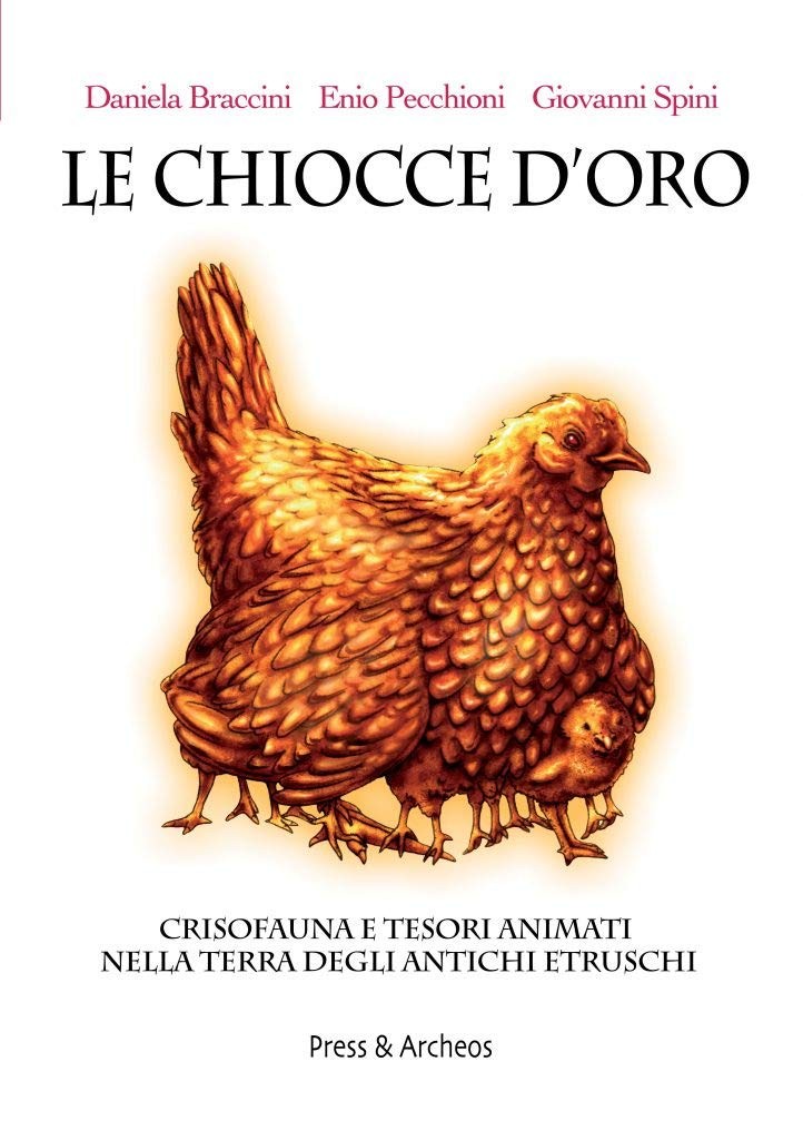 Даниэла Браччин, Чиокче доро. Кризис и его последствия (в мягкой обложке) (ИМПОРТ ИЗ Великобритании)