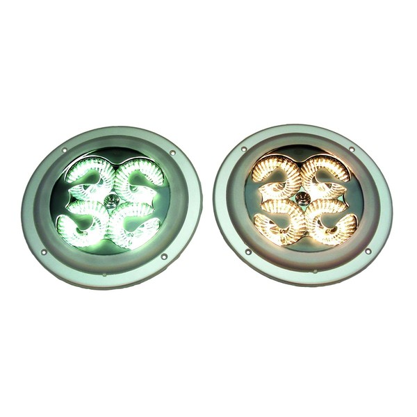 Innenraumleuchte Innenraum 12 V 6 W LED Glasklar Hella FüR U.A. DAF-image
